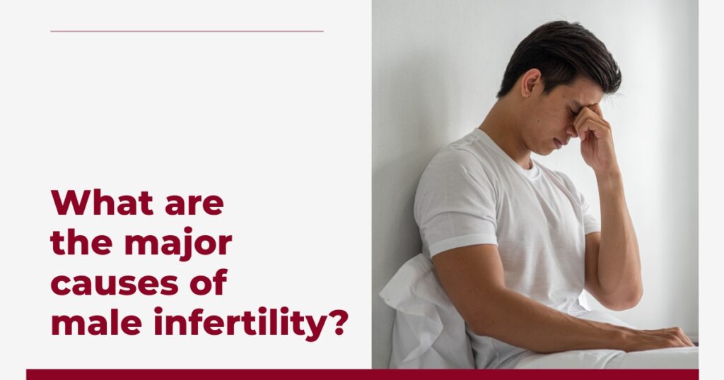 What Are The Major Causes Of Male Infertility Mira Ivf 